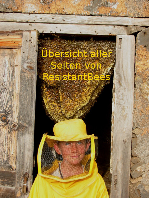 Übersicht aller Seiten von ResistantBees – sitemap